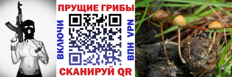 Псилоцибиновые грибы MAGIC MUSHROOMS  kraken   Печоры 